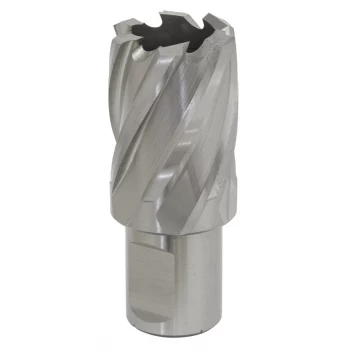 Image of Rotabor Cutter HSS 25MM - Cut Depth 25MM