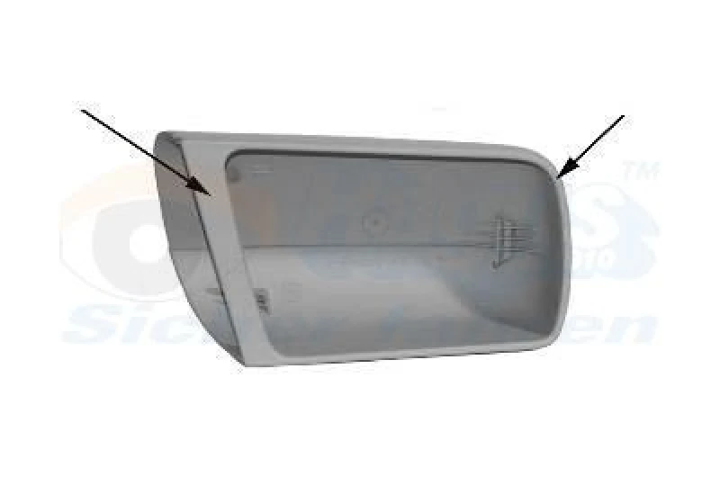 Image of VAN WEZEL Wing mirror cover VAN WEZEL 3030842