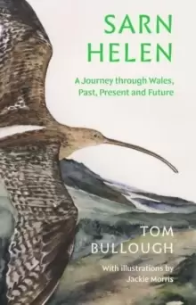 Image of Sarn Helen : A Journey Through Wales, Past, Present and Future