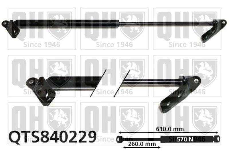 Image of QUINTON HAZELL Tailgate strut QUINTON HAZELL QTS840229