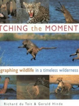 Image of Catching the Moment Paperback