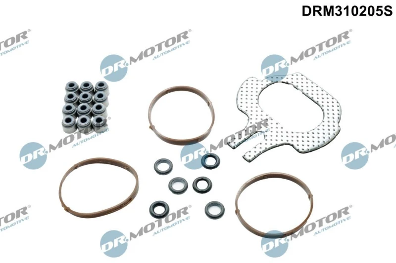 Image of DR.MOTOR AUTOMOTIVE Gasket Set, cylinder head DR.MOTOR AUTOMOTIVE DRM310205S
