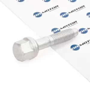 Image of DR.MOTOR AUTOMOTIVE Screw, injection nozzle holder DRM01062 PEUGEOT,CITROEN,206 Schragheck (2A/C),207 (WA_, WC_),307 (3A/C),107 Schragheck (PM_, PN_)