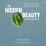 Image of hidden beauty of the microscopic world what the tiniest forms of life can t
