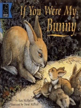 Image of If You Were My Bunny by Kate Macmullan and David Mcphail Hardback