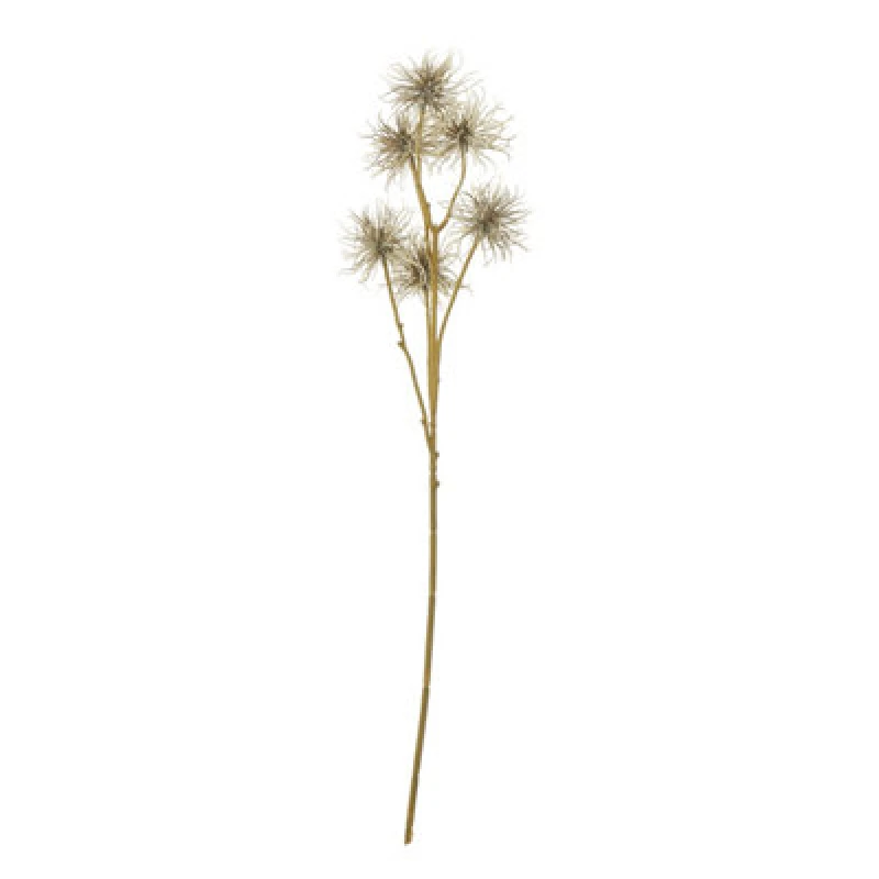 Image of Brown Xanthium Spray