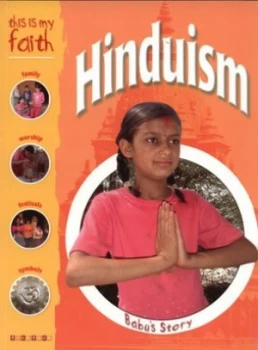 Image of Hinduism by Holly Wallace Paperback