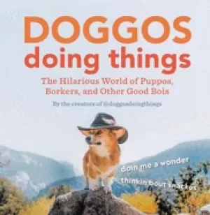 Image of doggos doing things the hilarious world of puppos borkers and other good bo