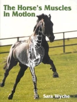 Image of The Horses Muscles in Motion by Sara Wyche Hardback