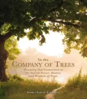 Image of in the company of trees honoring our connection to the sacred power beauty
