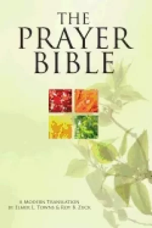Image of prayer bible a modern translation