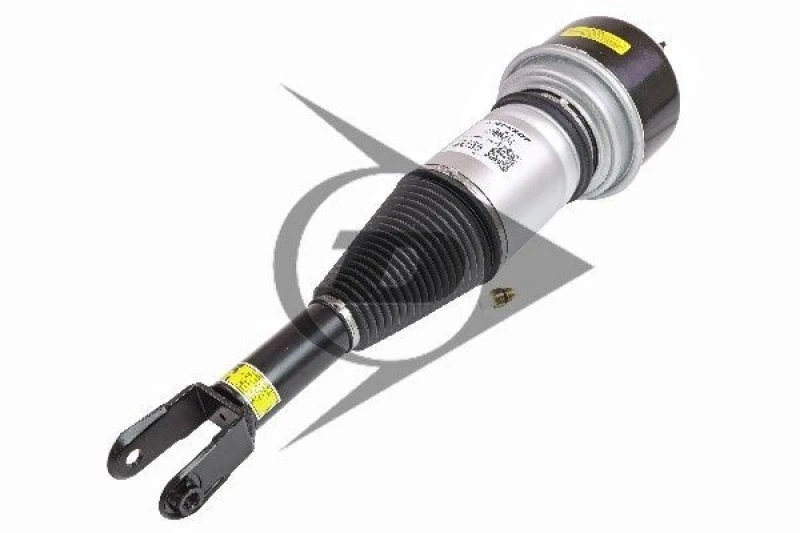 Image of Air suspension strut Dunlop Airsuspension 71117
