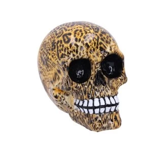 Image of Wild (Medium - Pack of 6) Leopard Print Skulls