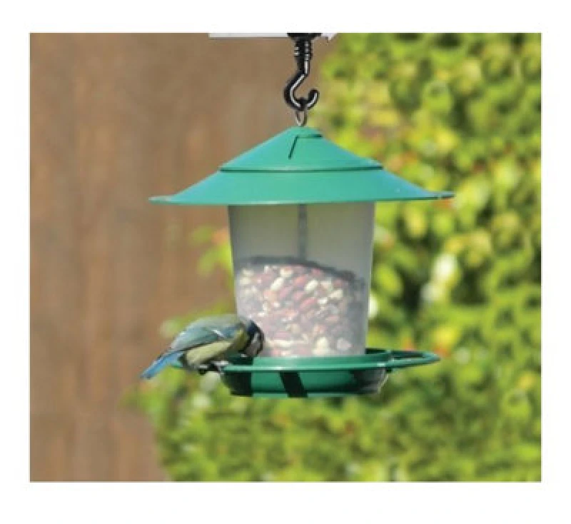 Image of Garland Lantern Bird Seed & Nut Feeder Green W2070