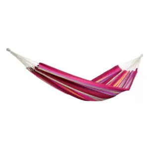 Image of 340439 Ds amazonas barbados grenadine