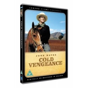Image of Cold Vengeance DVD