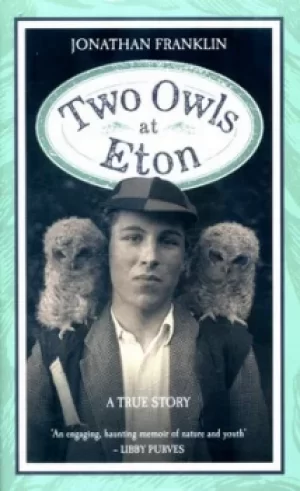 Image of Two owls at Eton by Jonathan Franklin