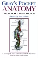 Image of grays pocket anatomy