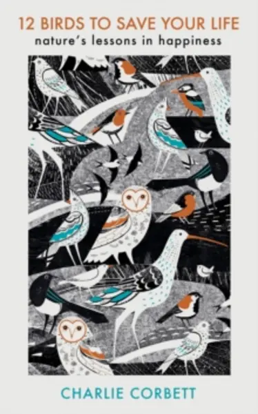 Image of 12 birds to save your life natures lessons in happiness 9781405949217