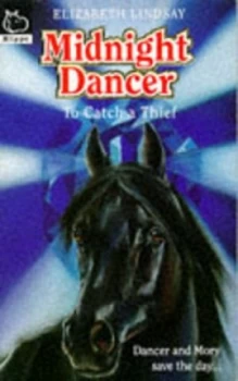 Image of To Catch a Thief by Elizabeth Lindsay and Linda Boddy Book