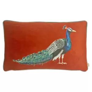 Image of Peacock Cushion Green/Blue/Orange