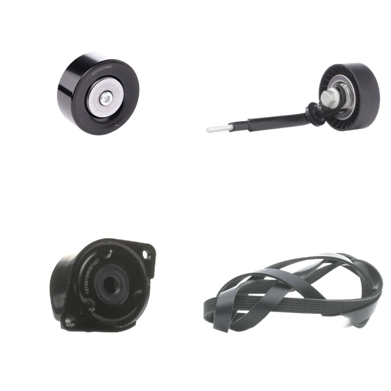 Image of RIDEX 542R0369 V-ribbed belt set V-Ribbed Belt Set (542)