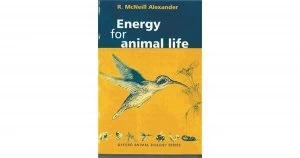 Image of Energy for animal life by R. McNeill Alexander