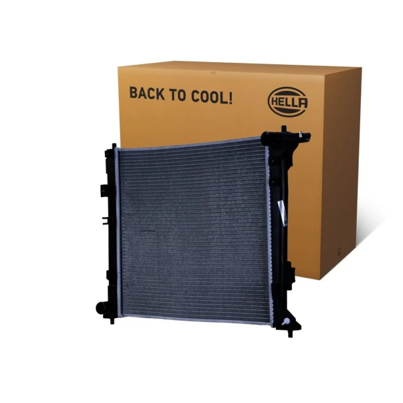 Image of HELLA Engine radiator HELLA 8MK 366 301-421
