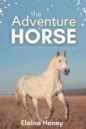 Image of adventure horse book 5 in the connemara horse adventure series for kids the