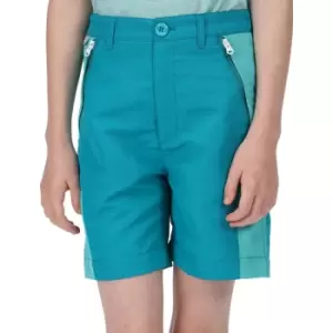 image of Regatta Boys Sorcer Mountain II Quick Drying Summer Shorts 13 Years - Waist 67-68cm (Height 153-158cm)