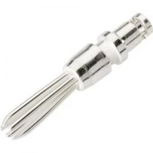 Image of Banana plug Plug straight Pin diameter 2.4mm Silver Schnepp