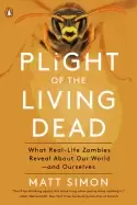 Image of plight of the living dead what real life zombies reveal about our world and