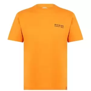 Image of DICKIES Pacific T Shirt - Orange