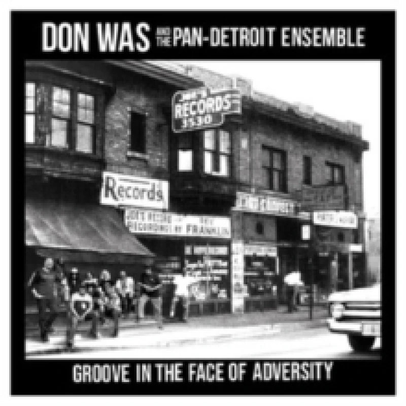 Image of Groove in the Face of Adversity Vinyl