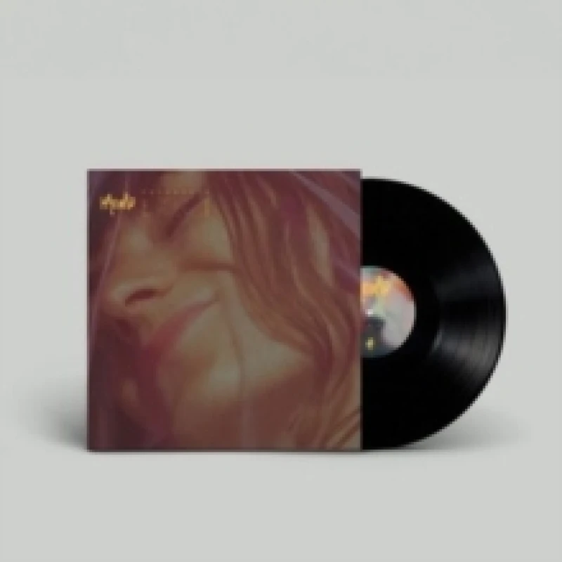 Image of Celebrate Vinyl