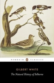 Image of The Natural History of Selborne by Gilbert White Book