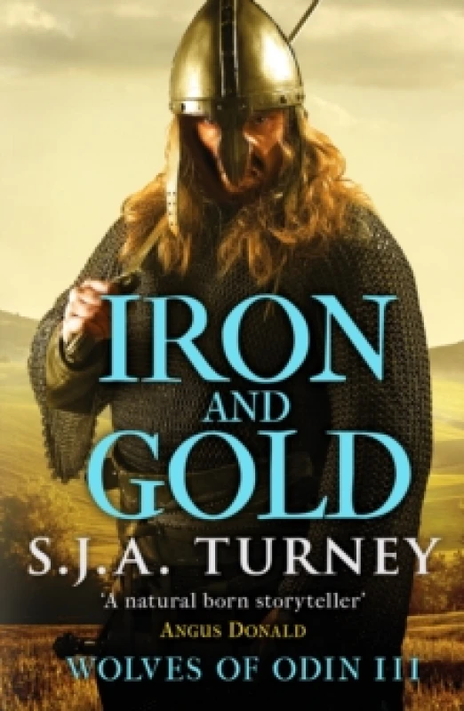 Image of Iron and Gold Paperback / softback