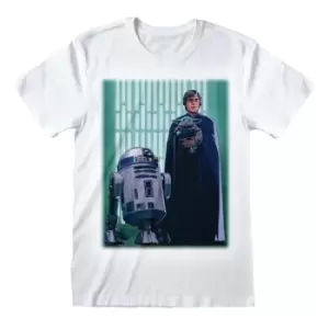 Image of Mandalorian - Luke Skywalker And Grogu Ex Ex Large