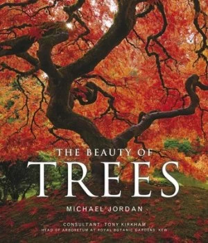 Image of The Beauty of Trees by Michael Jordan Hardback
