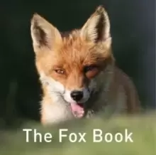 Image of The Fox Book