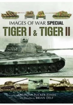 Image of Tiger I and Tiger II by Anthony Tucker-Jones