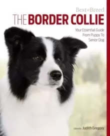 Image of Border Collie Best of Breed