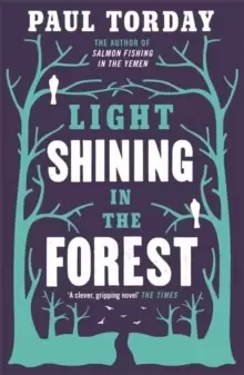 Image of Light Shining in the Forest