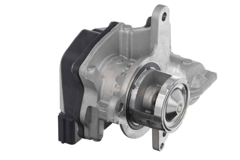Image of EGR valve VALEO 700477