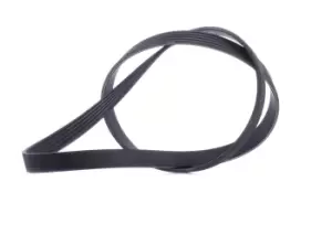 Image of CONTITECH V-ribbed belt FORD,VOLVO 5PK1094 5PK1092,5PK1093,5PK1095 Serpentine belt,Auxiliary belt,Poly V-belt,Ribbed belt,Multi V-belt,Poly belt