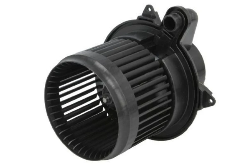Image of THERMOTEC Blower motor THERMOTEC DDR032TT