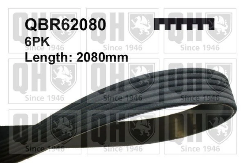 Image of QUINTON HAZELL Serpentine belt QUINTON HAZELL QBR62080