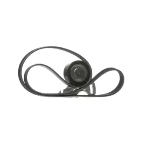 Image of SKF V-ribbed belt set VKMA 36036 Serpentine belt kit,Auxiliary belt kit RENAULT,DACIA,CLIO II (BB0/1/2_, CB0/1/2_),Clio III Schragheck (BR0/1, CR0/1)