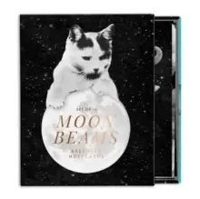 Image of Moonbeams Greeting Card Assortment