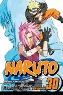 Image of naruto vol 30 puppet masters